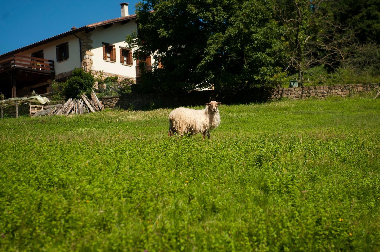 Affittacamere Casa Peluaga Oiartzun Esterno foto